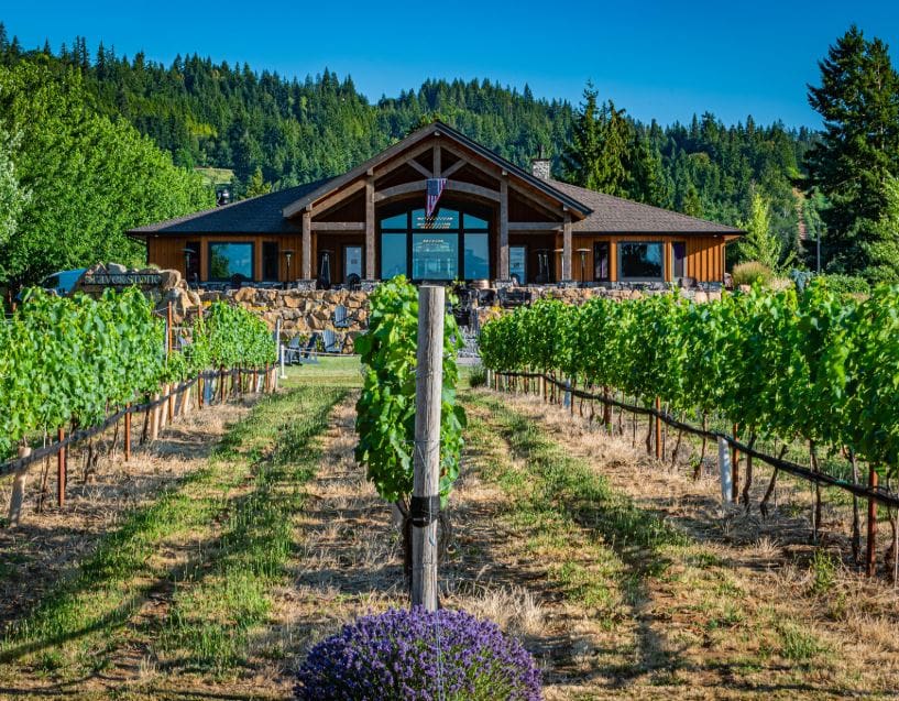 Hood River Vineyard Tour to Stave and Stone Winery with JMI Limousine Hood River Vineyard Tour to Stave and Stone Winery with JMI Limousine