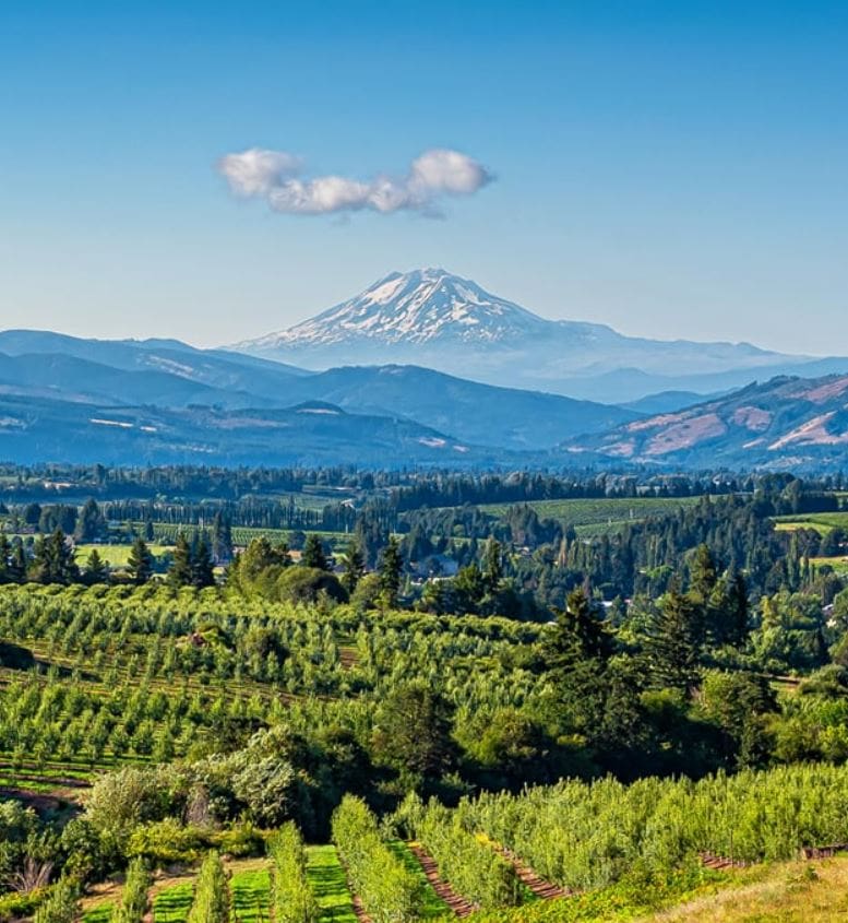 Hood River Wine Tasting Tours to Stave and Stone Winery with JMI Limousine Hood River Wine Tasting Tours to Stave and Stone Winery with JMI Limousine