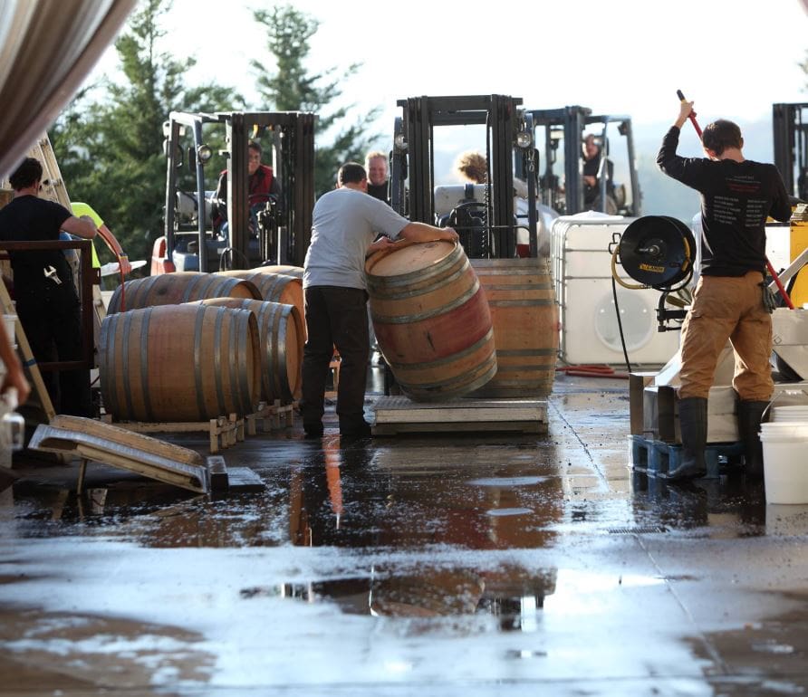 Organic Wine Tasting at Carlton Winemakers Studio in JMI Limousine Organic Wine Tasting at Carlton Winemakers Studio in JMI Limousine