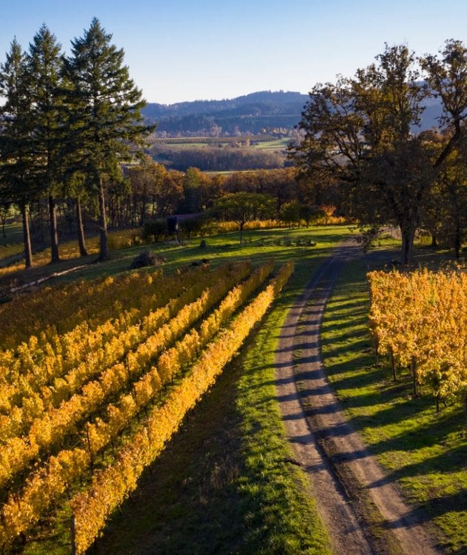 Willamette Valley Wine Tour - Resonance Vineyard Oregon - JMI Limo Willamette Valley Wine Tour - Resonance Vineyard Oregon - JMI Limo